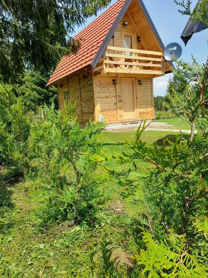 Tisina Tare Villa Bajina Basta Exterior photo
